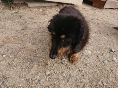 f:id:roukenhome-ann:20190818175816j:plain