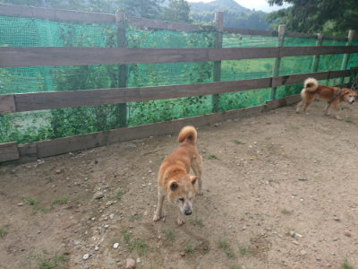f:id:roukenhome-ann:20190818175824j:plain