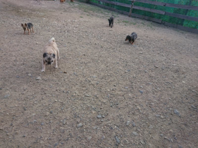 f:id:roukenhome-ann:20190818175841j:plain