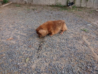 f:id:roukenhome-ann:20190818175851j:plain