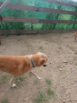 f:id:roukenhome-ann:20190818175907j:plain