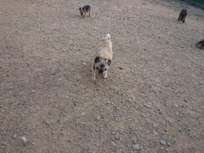 f:id:roukenhome-ann:20190818175923j:plain