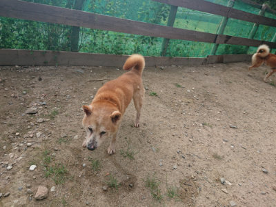 f:id:roukenhome-ann:20190818180046j:plain
