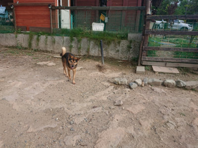 f:id:roukenhome-ann:20190818182204j:plain
