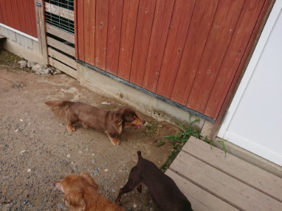 f:id:roukenhome-ann:20190818182210j:plain