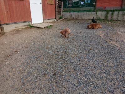 f:id:roukenhome-ann:20190818182324j:plain