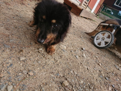 f:id:roukenhome-ann:20190818182330j:plain