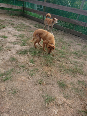 f:id:roukenhome-ann:20190818182338j:plain