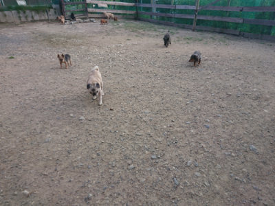 f:id:roukenhome-ann:20190818182406j:plain