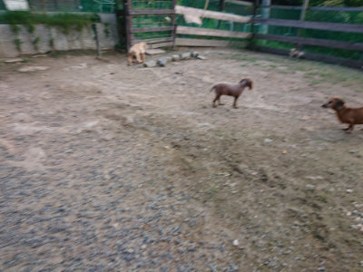 f:id:roukenhome-ann:20190818182413j:plain