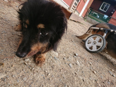 f:id:roukenhome-ann:20190818182419j:plain