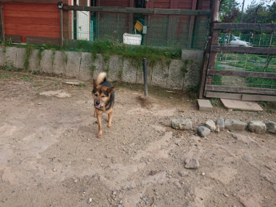 f:id:roukenhome-ann:20190818182424j:plain