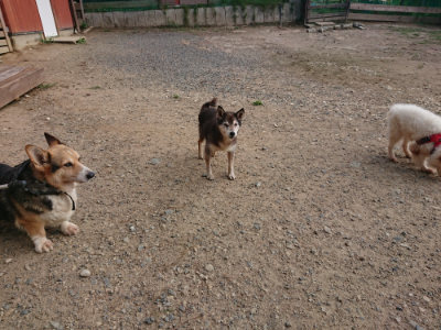 f:id:roukenhome-ann:20190818182441j:plain