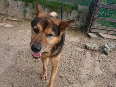 f:id:roukenhome-ann:20190818182459j:plain