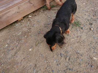 f:id:roukenhome-ann:20190818182547j:plain