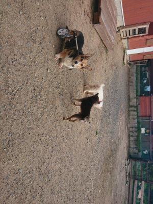 f:id:roukenhome-ann:20190818182552j:plain