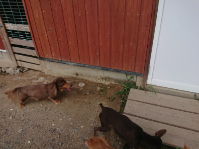 f:id:roukenhome-ann:20190818182630j:plain