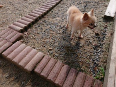 f:id:roukenhome-ann:20190818183056j:plain