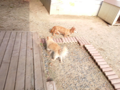 f:id:roukenhome-ann:20190818183113j:plain