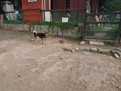 f:id:roukenhome-ann:20190818183118j:plain