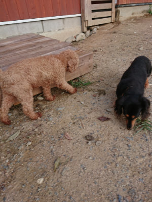 f:id:roukenhome-ann:20190818183130j:plain