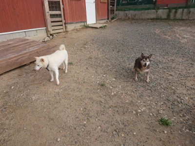 f:id:roukenhome-ann:20190818183148j:plain