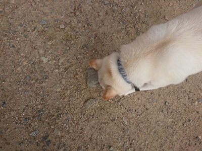 f:id:roukenhome-ann:20190818183155j:plain