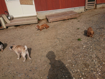 f:id:roukenhome-ann:20190818183236j:plain