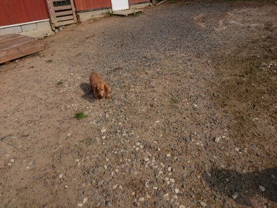 f:id:roukenhome-ann:20190818183243j:plain