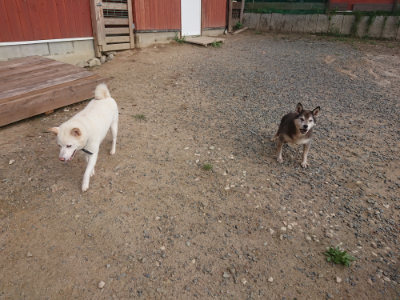 f:id:roukenhome-ann:20190818183301j:plain