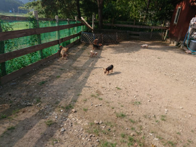 f:id:roukenhome-ann:20190818183314j:plain