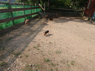 f:id:roukenhome-ann:20190818183320j:plain