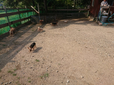 f:id:roukenhome-ann:20190818183346j:plain