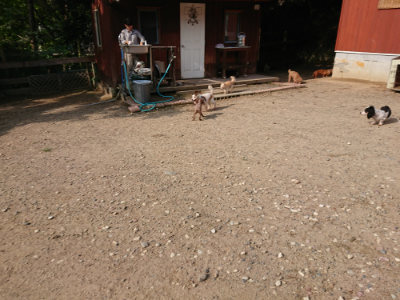 f:id:roukenhome-ann:20190818183352j:plain