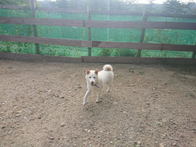 f:id:roukenhome-ann:20190818183512j:plain