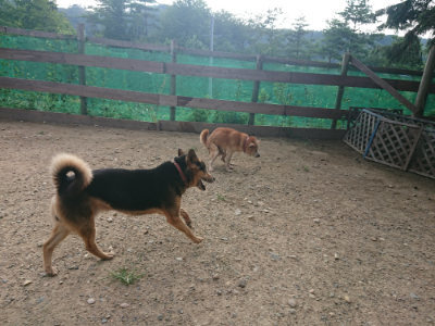 f:id:roukenhome-ann:20190818183528j:plain