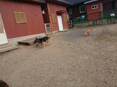 f:id:roukenhome-ann:20190818183538j:plain