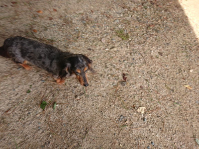 f:id:roukenhome-ann:20190818183640j:plain