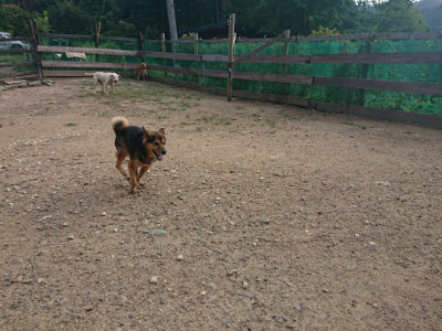 f:id:roukenhome-ann:20190818183741j:plain