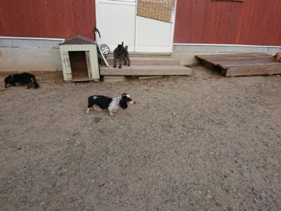 f:id:roukenhome-ann:20190818183746j:plain