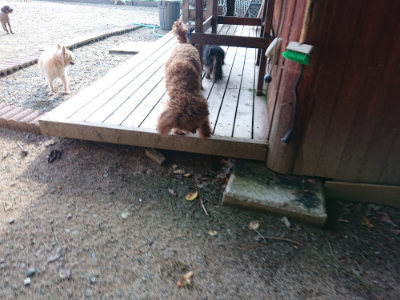 f:id:roukenhome-ann:20190818183824j:plain