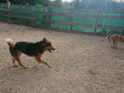 f:id:roukenhome-ann:20190818183905j:plain