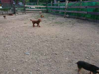 f:id:roukenhome-ann:20190818183916j:plain