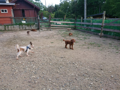 f:id:roukenhome-ann:20190818183923j:plain