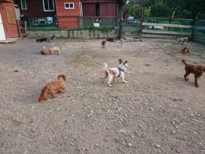 f:id:roukenhome-ann:20190818183959j:plain