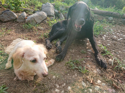 f:id:roukenhome-ann:20190818184344j:plain