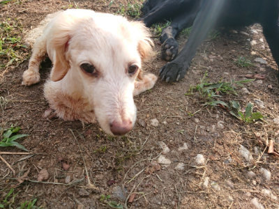 f:id:roukenhome-ann:20190818184353j:plain