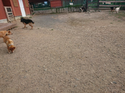 f:id:roukenhome-ann:20190818184432j:plain