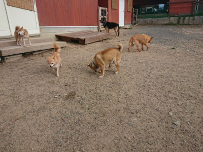 f:id:roukenhome-ann:20190818184442j:plain