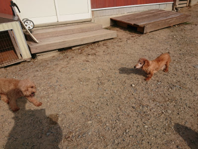 f:id:roukenhome-ann:20190818184448j:plain